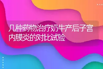 几种药物治疗奶牛产后子宫内膜炎的对比试验