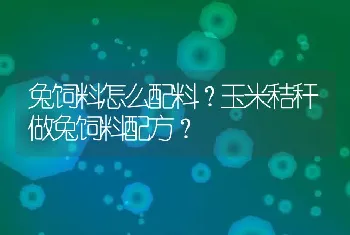 兔饲料怎么配料？玉米秸秆做兔饲料配方？