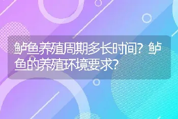 鲈鱼养殖周期多长时间？鲈鱼的养殖环境要求？