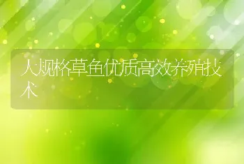 大规格草鱼优质高效养殖技术