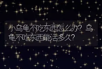 小乌龟不吃东西怎么办？乌龟不吃东西能活多久？