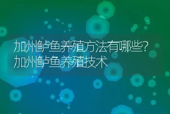 加州鲈鱼养殖方法有哪些？加州鲈鱼养殖技术