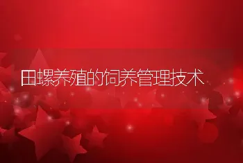 田螺养殖的饲养管理技术