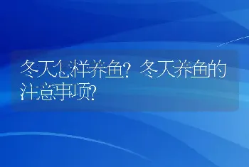 冬天怎样养鱼？冬天养鱼的注意事项？