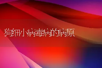 狗细小病毒病的病原