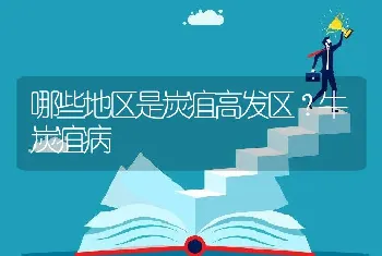 哪些地区是炭疽高发区？牛炭疽病