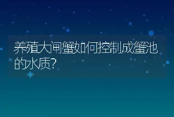 养殖大闸蟹如何控制成蟹池的水质？