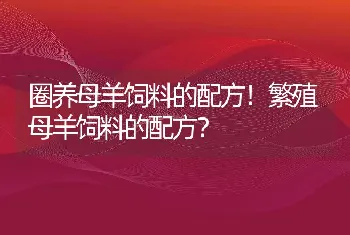 圈养母羊饲料的配方！繁殖母羊饲料的配方？