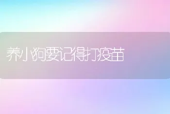 养小狗要记得打疫苗