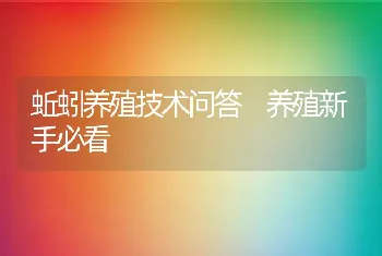 蚯蚓养殖技术问答 养殖新手必看