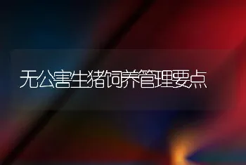 无公害生猪饲养管理要点