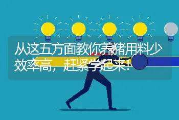 从这五方面教你养猪用料少效率高，赶紧学起来！