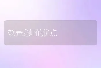 软壳龙虾的优点