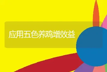 应用五色养鸡增效益