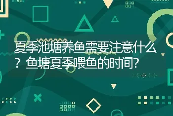 夏季池塘养鱼需要注意什么？鱼塘夏季喂鱼的时间？