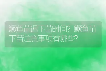 鳜鱼苗迟下苗时间？鳜鱼苗下苗注意事项有哪些？