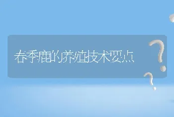 春季鹿的养殖技术要点