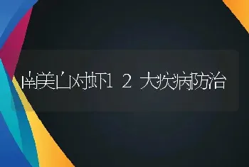 南美白对虾12大疾病防治