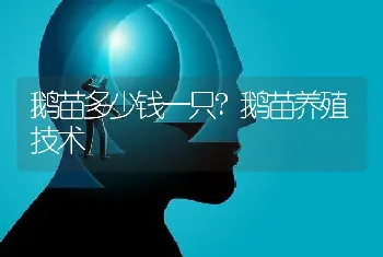 怎样养野兔？野兔养殖技术大全