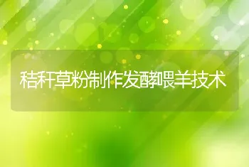 如何让散养柴鸡种蛋受精率保持在90%以上