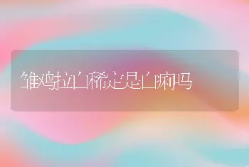 雏鸡拉白稀定是白痢吗