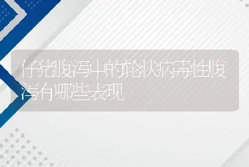 仔猪腹泻中的轮状病毒性腹泻有哪些表现