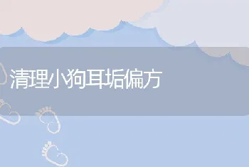 清理小狗耳垢偏方