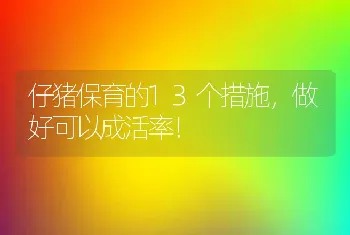 仔猪保育的13个措施，做好可以成活率！