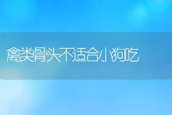 禽类骨头不适合小狗吃