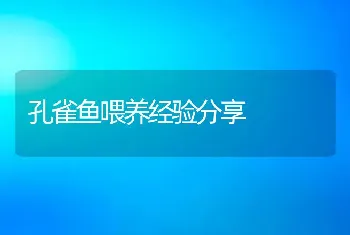 孔雀鱼喂养经验分享