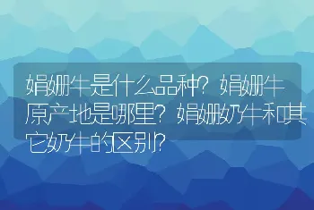 娟姗牛是什么品种？娟姗牛原产地是哪里？娟姗奶牛和其它奶牛的区别？