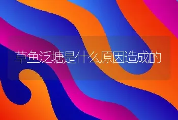 草鱼泛塘是什么原因造成的