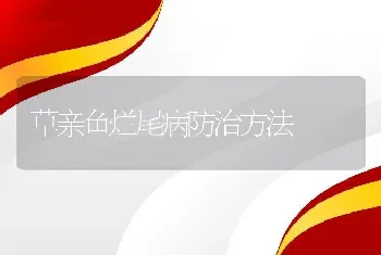 草亲鱼烂尾病防治方法