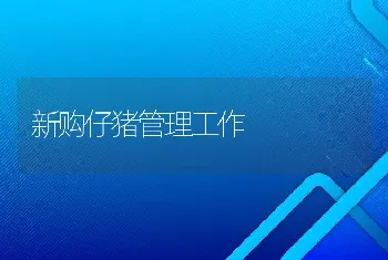 鱼儿保鲜有何技巧