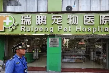 ＂ 睦犬一号 ＂ 行动在深圳全市开启,深圳宠物店售卖烈性犬将被罚