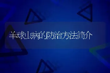 羊球虫病的防治方法简介