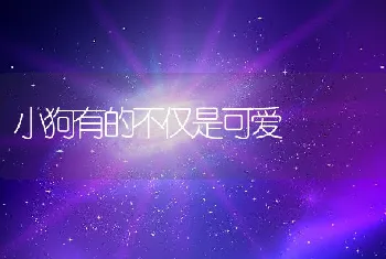 小狗有的不仅是可爱