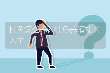 桂鱼怎么养？桂鱼养殖技术大全