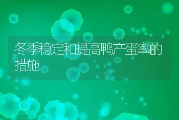 冬季稳定和提高鸭产蛋率的措施