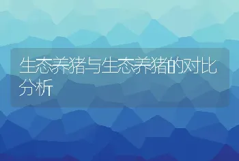 生态养猪与生态养猪的对比分析