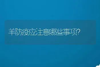 羊防疫应注意哪些事项？