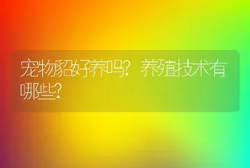 宠物貂好养吗?养殖技术有哪些?