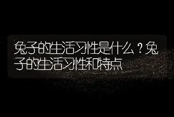 兔子的生活习性是什么？兔子的生活习性和特点