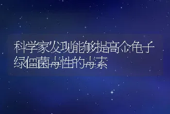 科学家发现能够提高金龟子绿僵菌毒性的毒素