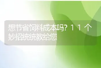 想节省饲料成本吗？11个妙招统统教给您