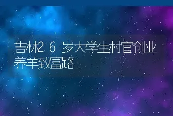 吉林26岁大学生村官创业养羊致富路