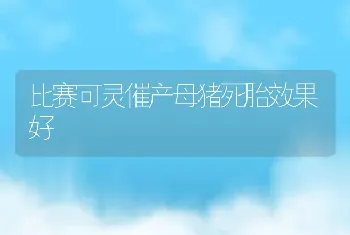 比赛可灵催产母猪死胎效果好