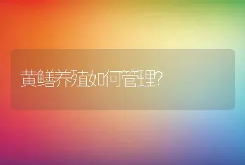 黄鳝养殖如何管理？