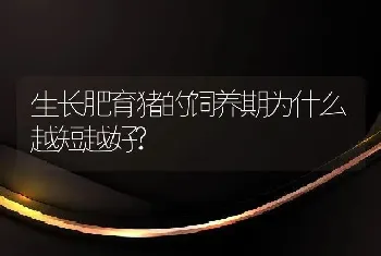 生长肥育猪的饲养期为什么越短越好?