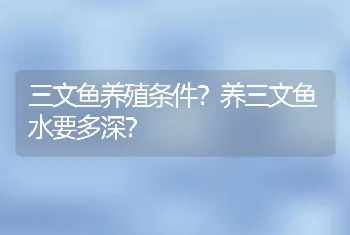 三文鱼养殖条件？养三文鱼水要多深？